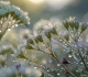 Natur & Stille