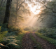 Wachstum & Wandel